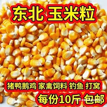 24�����~�������u����������10ᄾ�����������Z�¼Z�Zι�|����
