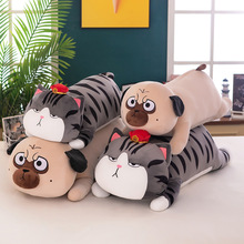 ����ɰ����èԲ������ſ������ڳ�������լ��˯��ë���������