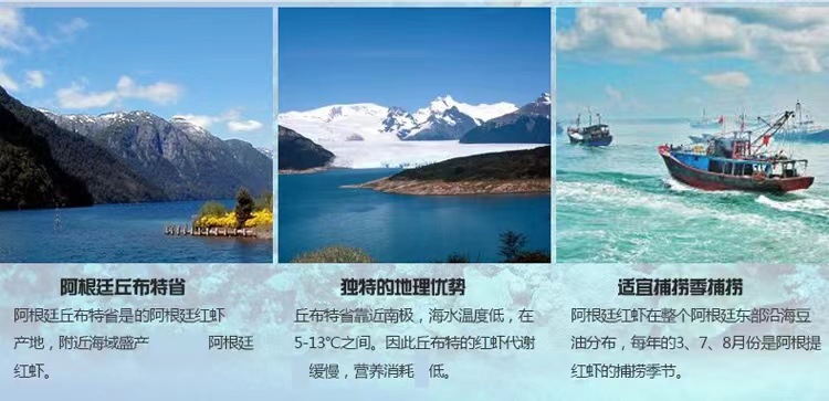 c0154afa09b5c951415661c9a4e5f5