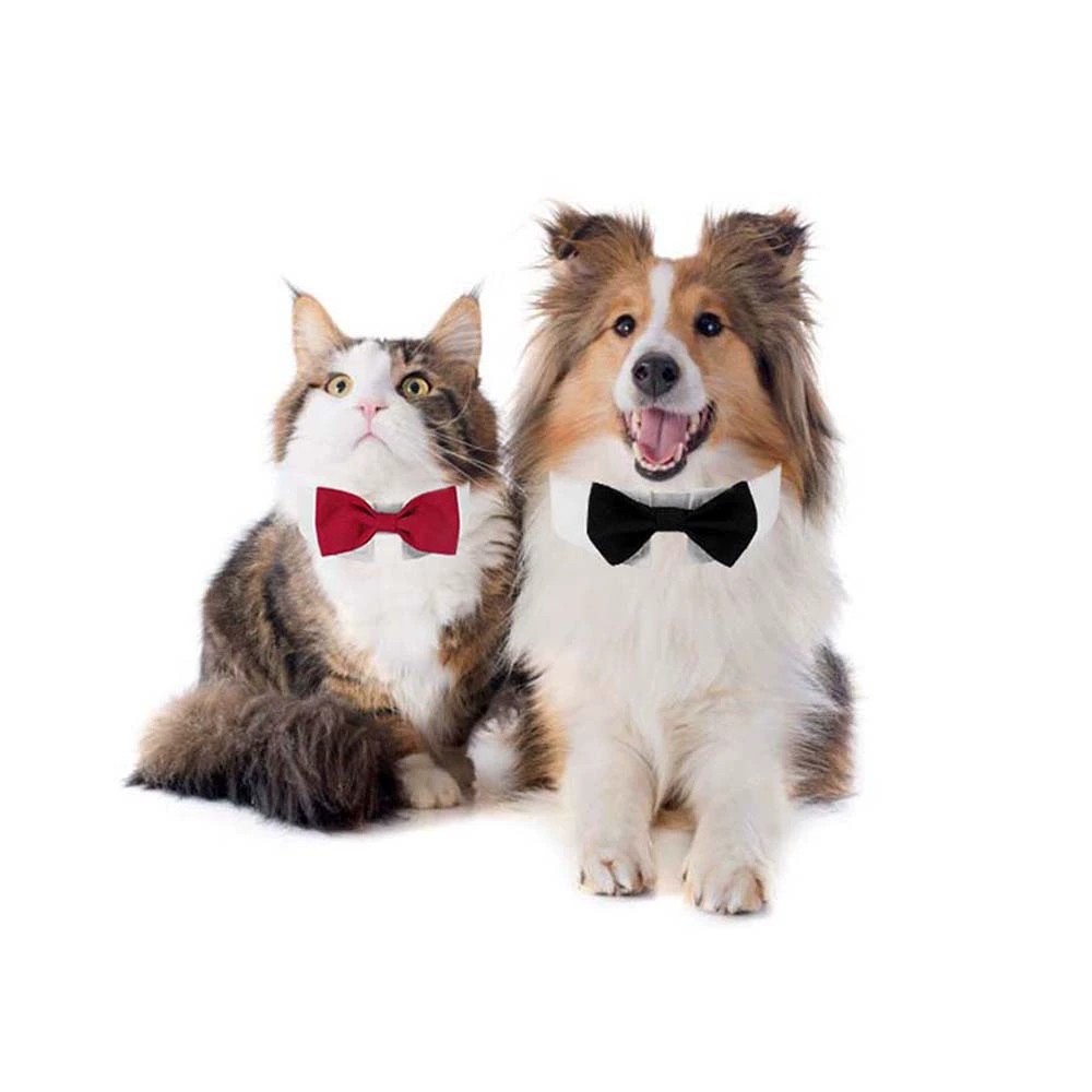 Tanpopo спот через границы новый красивый домашний питомец собака галстубок липучка регулировка аксессуаров для домашних животных бант