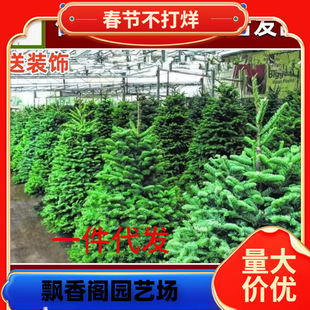 һ�����l����}�Q�����������Ų���ɼ�������Zؐ������ɘ��}