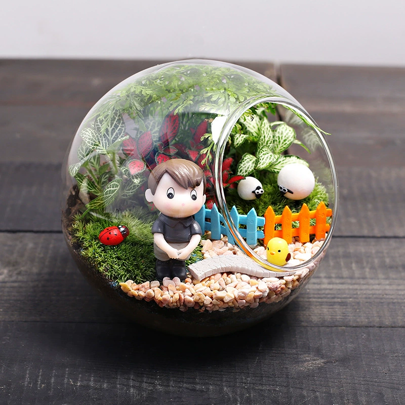 12C теплая полевая деятельность мох микроландшафт DIY Материал Пакет креативная экологическая стеклянная бутылка украшение Подарочный костюм для мужчин