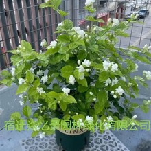 ����������ˮ���������������Ϙ��d�ӻ�����þGֲ���ļ��_��