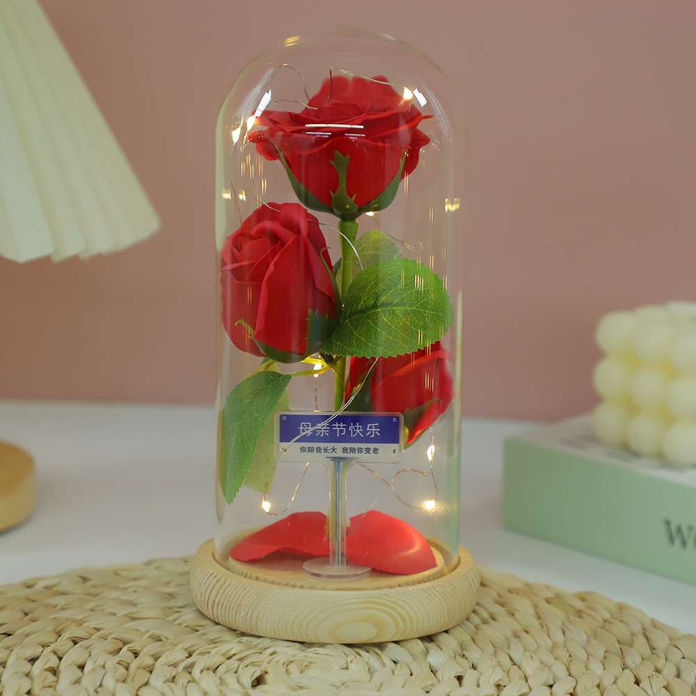 Fábrica al por mayor Flor eterna Cubierta de vidrio Clavel Caja de regalo Flor simulada Decoración de escritorio Día de la madre Regalo para mamá