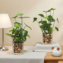 ����Gֲ���~�ݽ��X�ݷ������ԼҾ��b��k�������B�۷���ֲ���辰