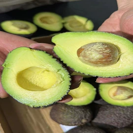 番薯类;柑桔;苹果