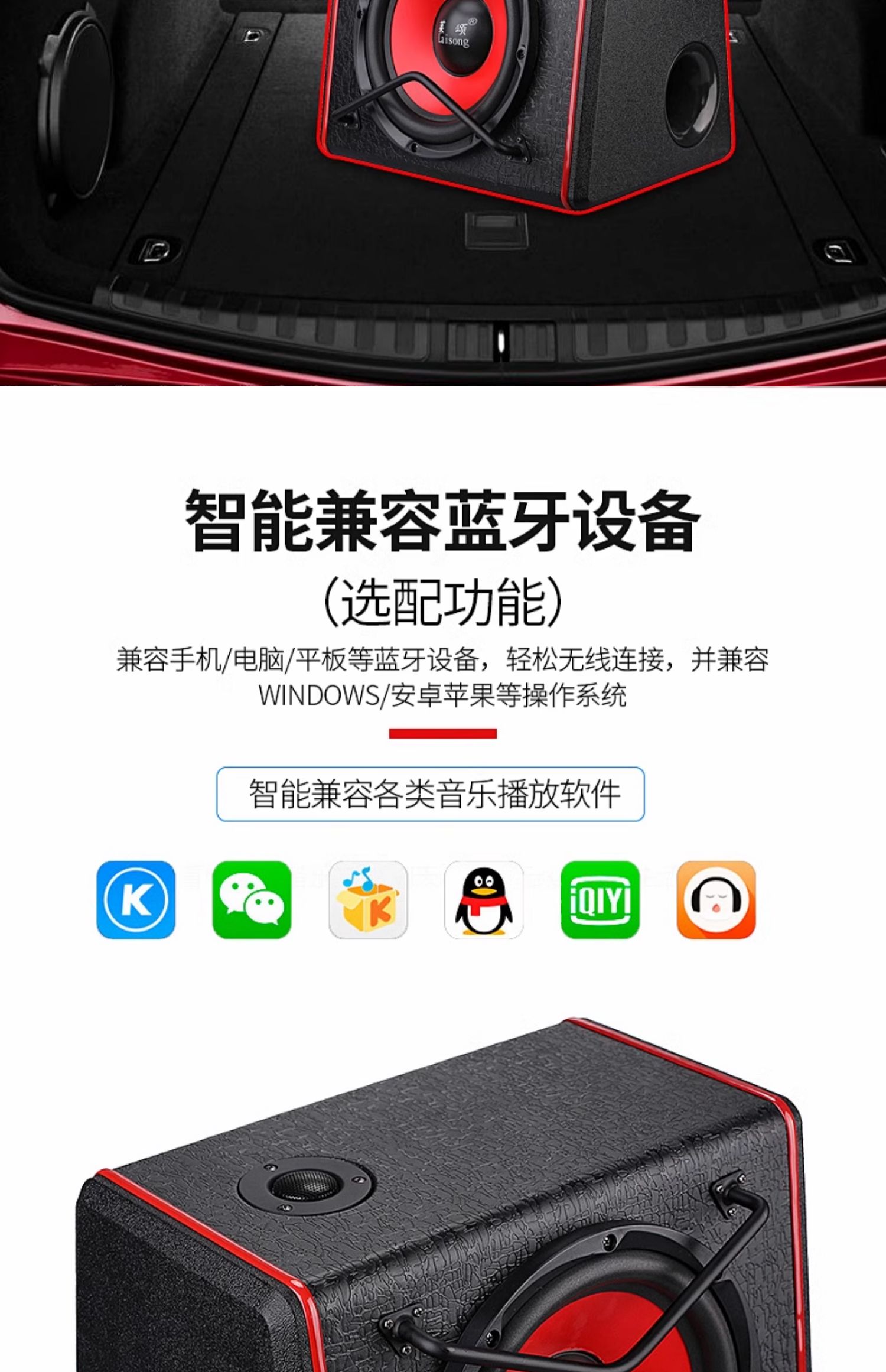 Car Subwoofer 10/12 Inch 12V/24V High Power Car Audio