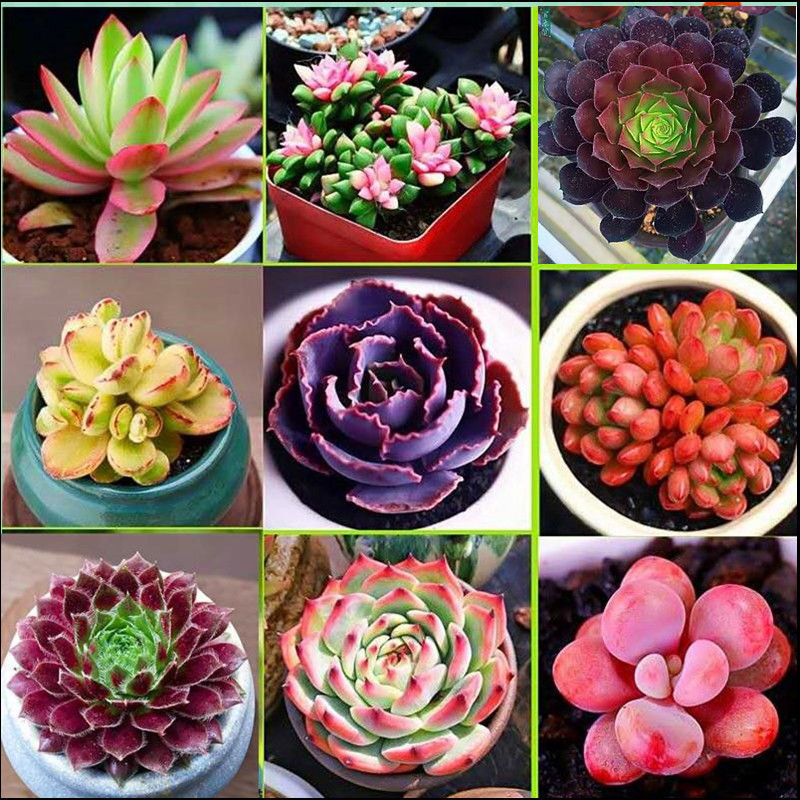 9종 [사진] B는 세면대가 필요합니다. 세면대를 포함하여 주문하세요.