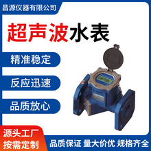 双声道管段式超声波水表智能远传水表大口径工业冷热量表远程水表