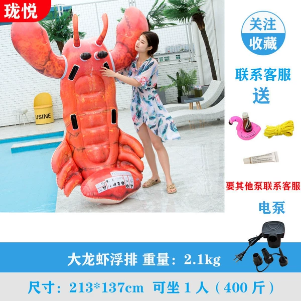 Big lobster (with household electric pump)