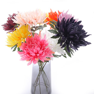 �����֧��z�ʾ���˼ǧ�z�ջ�׷�������x�^�ߙn�b廨�ω�����