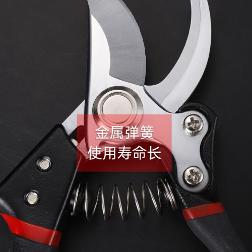 Manufacturer wholesale fruit tree pruning scissors, garden thick branch pruning scissors, floral pruning shears, fruit picking scissors