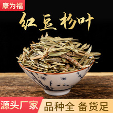 红豆杉叶 红豆杉果子 红豆杉 中药材红豆杉叶 现货批发 量大从优