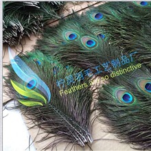 厂家现货销售25-30cm 孔雀毛  价格实惠 天然真羽毛 孔雀毛diy
