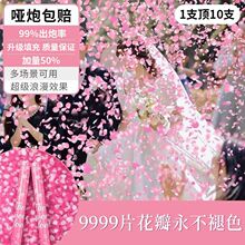 2026��(����)�߶˾W�t��Y����ɫ����Y���c�ʻ���Ͳ������