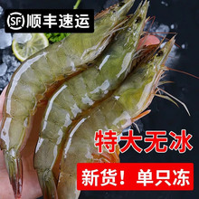 ʮ��� ���K�B노۴��r�r�������r�ش����r����r���r�ك���