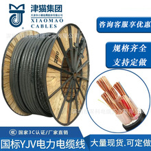 ���С؈��|YJV/YJY10/16/25/ƽ��������|�~о380V��늘����L��