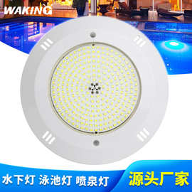 外贸跨境12V挂壁式泳池七彩灯灌胶树脂水池灯遥控LED水下防水灯具