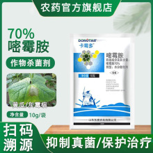 80%嘧霉胺葡萄番茄黄瓜灰霉病农药杀菌剂