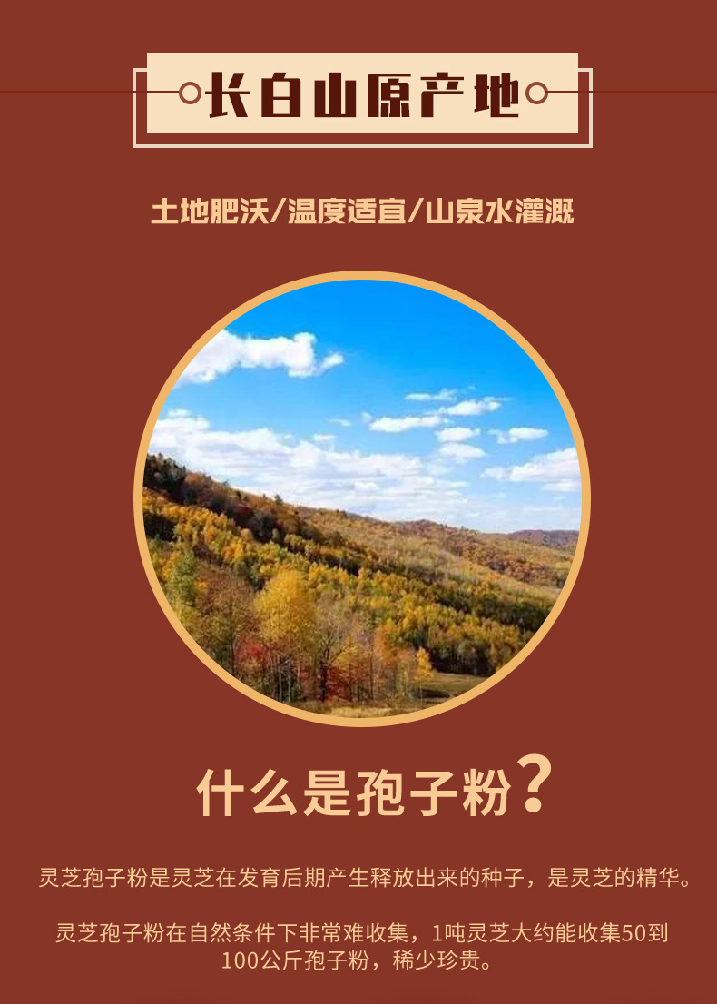 Lingzhi Spore Powder Ling Zhi Fu Zi 250g Bottle Broken Wall Ganoderma Powder Daily Herbal Wellness specifications
