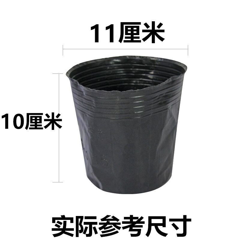 15*13 (diameter 11 and height 10) 500 pieces