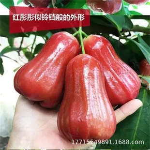 �ڽ����B�F�� ����Y�� �ļ�̨��ɏ�F���������ˮ���� �Ϸ�Ʒ�N