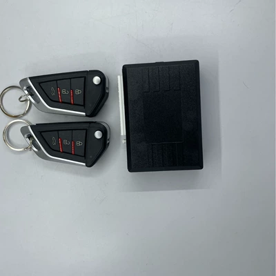 Car anti-theft device remote: Central locking