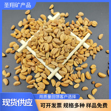 现货供应山楂子 水洗山楂籽汽车坐垫填充物 儿童娱乐沙池用山楂籽