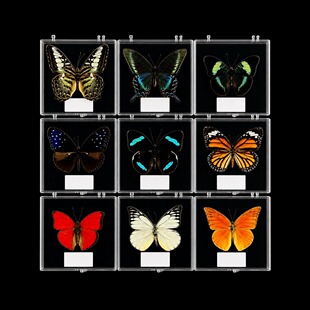 �S��ֱ�N�挍���x�˱�͸�����b����չ��Ů����ͯ���նY���ղؔ[��