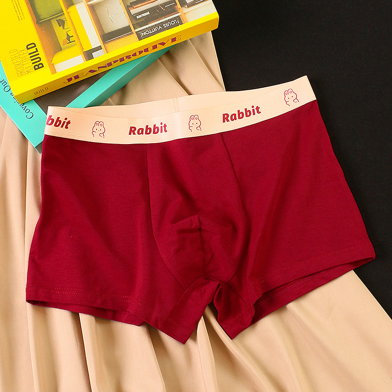Caja de regalo, ropa interior, calzoncillos tipo bóxer para hombre, calzoncillos tipo bóxer de algodón puro, ropa interior de boda con estampado de conejo bonito, año animal