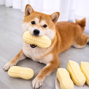 Dog Toy Bite-resistant Self-hi Peanut Voice Ball Corgi Chai Dog Large and Small Dog Pet Grinding Stick