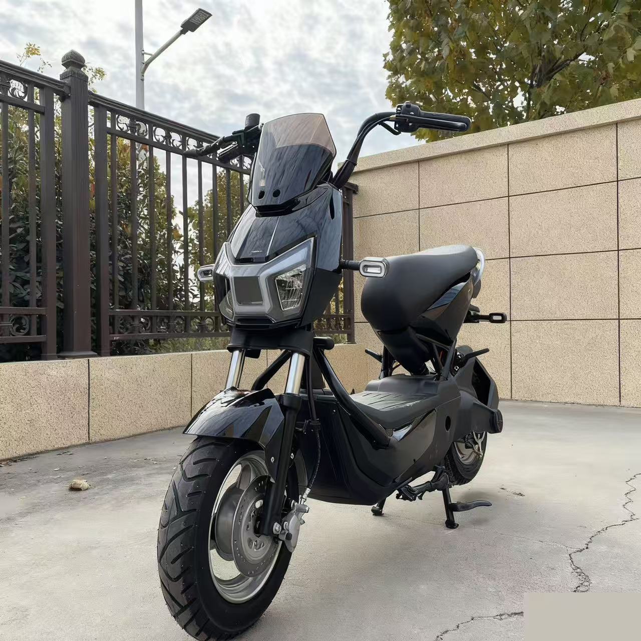 Bicicletas eléctricas Warhawk, vehículos de batería de alta potencia, scooter para adultos, motocicleta eléctrica de dos ruedas, bicicletas transfronterizas