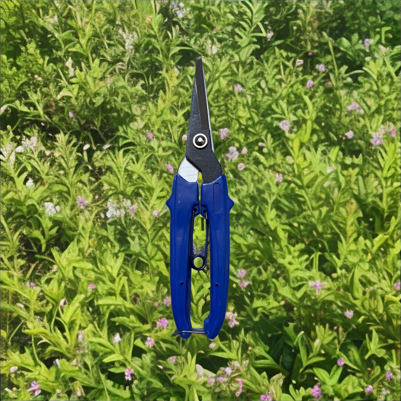 厂家直销高质量园林剪修枝剪树枝剪果枝剪摘果剪   欢迎选购