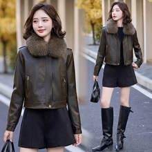 2025新款品牌女装绵羊皮毛领加厚加棉时尚洋气短款上衣外套潮批发