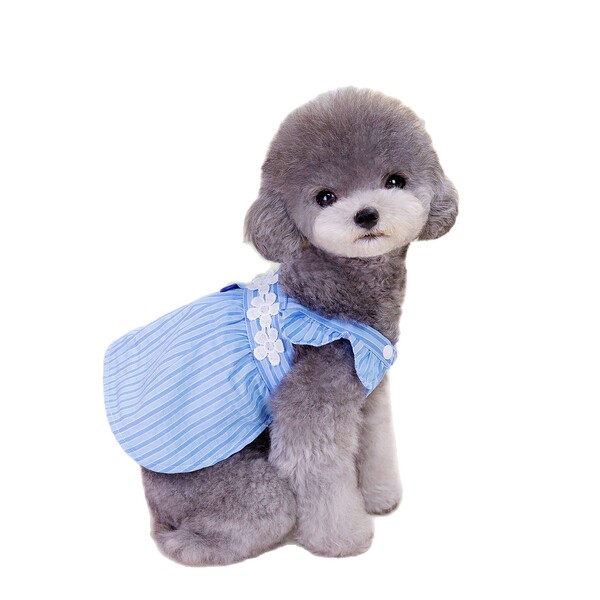 Summer small princess costume