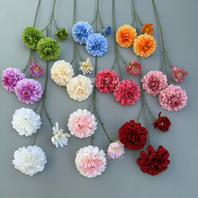 o~^ٰYòbٻcƵ껨ˇܛb