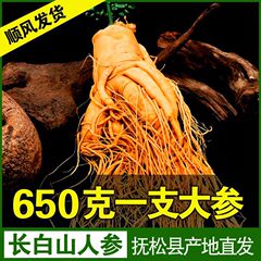 【長白山人参】特大鮮度保持参参農直採東北特産品当時参大補希少非乾参