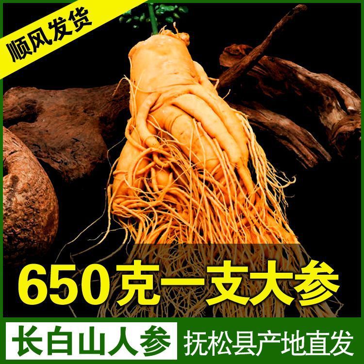 【長白山人参】特大鮮度保持参参農直採東北特産品当時参大補希少非乾参|undefined