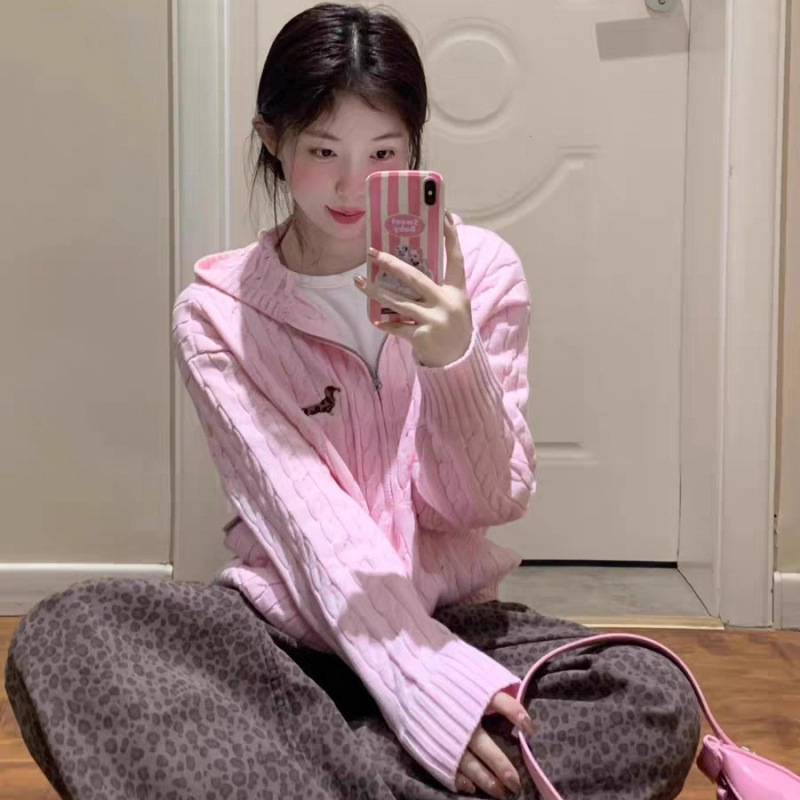 韩系穿搭粉色麻花连帽开衫毛衣女秋款宽松外穿慵懒风针织上衣|undefined