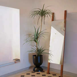 森空间仿真绿植剑麻铁树龙血树植物装饰室内客厅盆栽落地大型假花