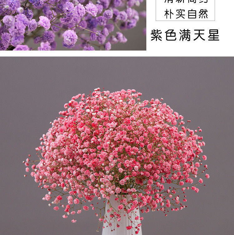 37dbe07b-cfe1-4480-bbc7-24e462aeed71.jpe