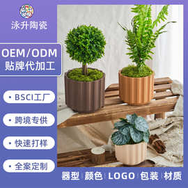 圆形竖纹ins风大小号陶瓷花盆绿萝多肉盆栽绿植花器跨境专供定制