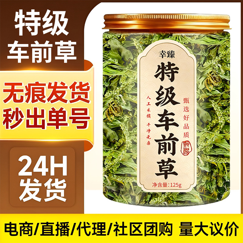 Premium Whole Plantain Herb Dried Wild Natural Sun Dried 500g overview