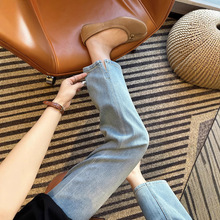 ֱֱȣ;޺~揗ţѝŮ2025¸@ֱͲѝ