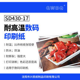 GWBQ耐高温数码印刷纸SD430-17支持弱溶剂打印防水耐撕裂