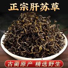 赶黄草正宗四川古蔺县赶黄草三角包肝苏草独立小包装平批发一件代