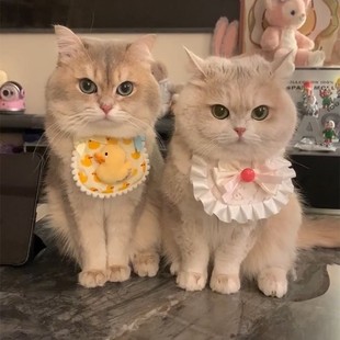Cute Bibs for Cats and Dogs, Pet Lace Fabric Saliva Towels, Hand-Knitted Photo Accessories, Neck Scarf Decorative Collars