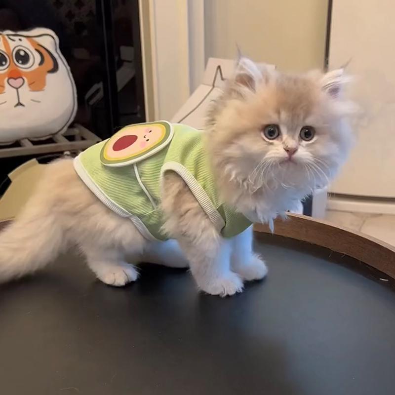 d11ef534-05a6-47f0-b9cc-4c2e1e0f771c.jpe