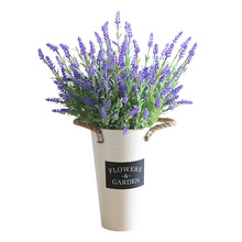 ��������޹�²����z��ɫ޹�²ݰ�����@�L���bѻ��羳����Gֲ