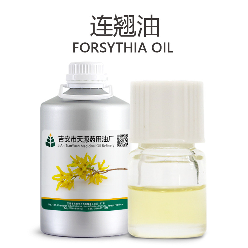 供应连翘油 连翘精油植物蒸馏提取香料油厂家欢迎咨询